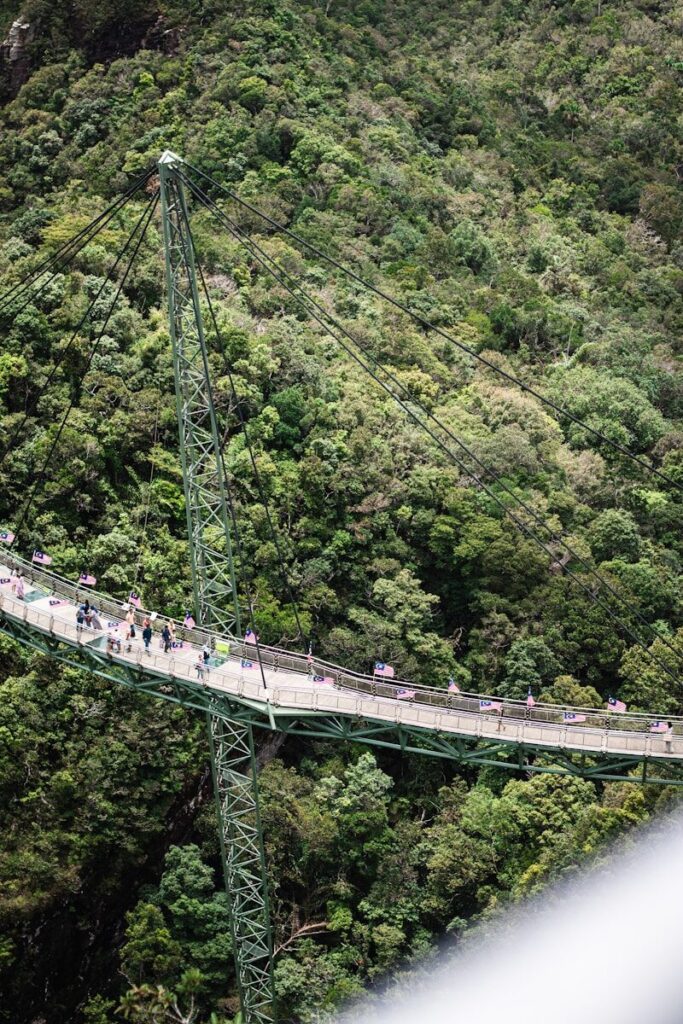 a suspension bridge in the middle of a forest